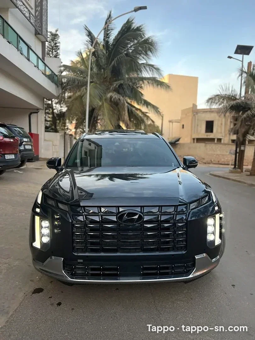 Hyundai palissade 2019