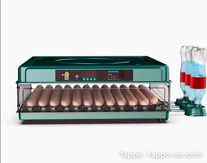 Couveuse automatique 48 œufs avec système d'humidification à vendre à Dakar – photo 1