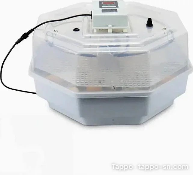 Couveuse automatique transparente 42 Oeufs à vendre à Pikine - Thiaroye – photo 1