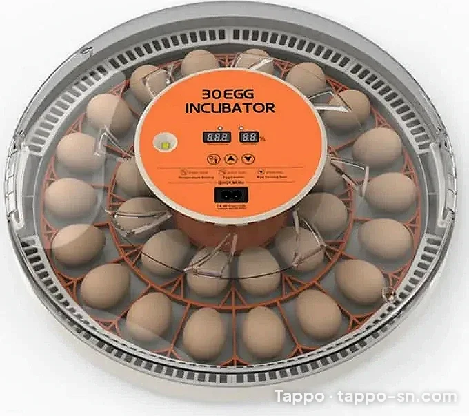 Incubateur automatique 30 oeufs à vendre à Pikine - Thiaroye – photo 1