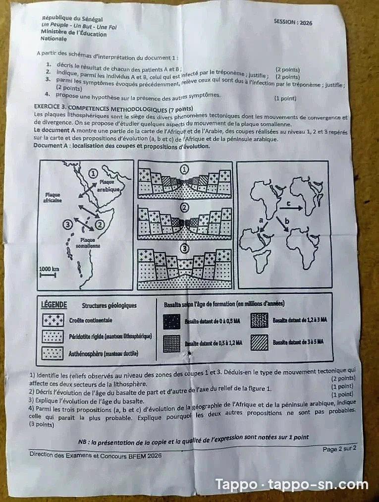 Professeur de sciences à domicile – Maths, PC, SVT (cycle moyen) – à Dakar – photo 1