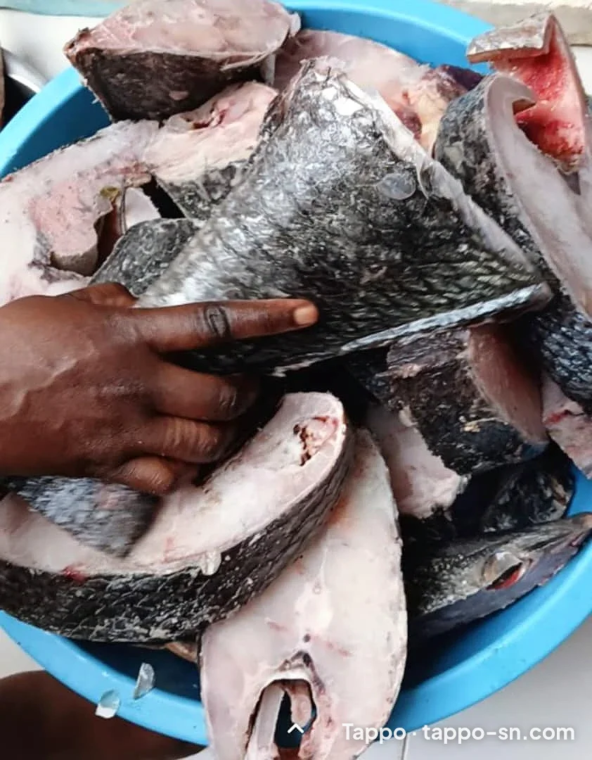 Beurre Morceaux de poisson frais en tranches à vendre à Thiès – photo 1