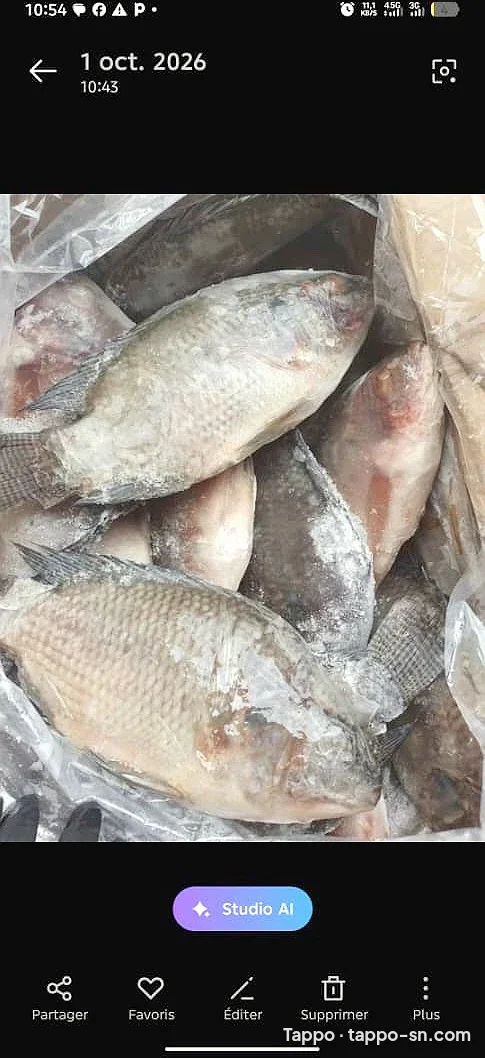Poissons frais Wass à vendre à Thiès – photo 1