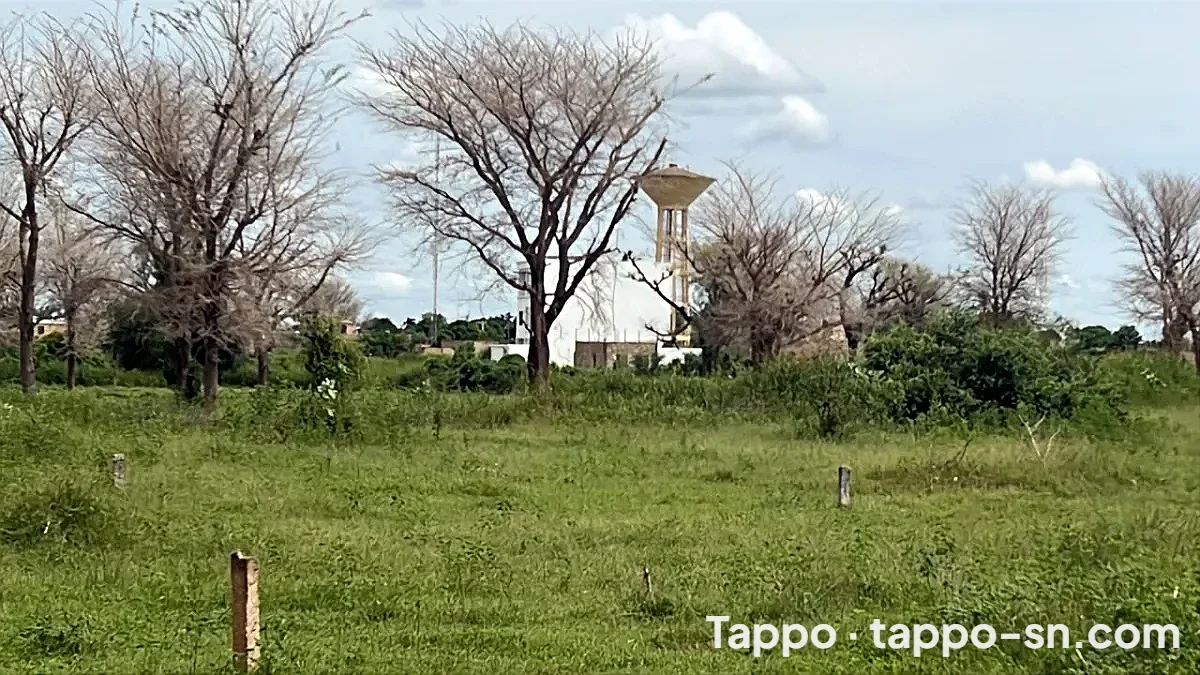 Terrains de 225m2 à vendre à Tène Toubab Sn à Mbour – photo 1