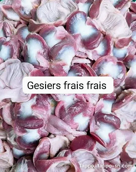 Gesiers frais frais à vendre à Dakar – photo 1
