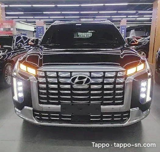 Hyundai Palisade 2023 Noir à vendre à Dakar – photo 1
